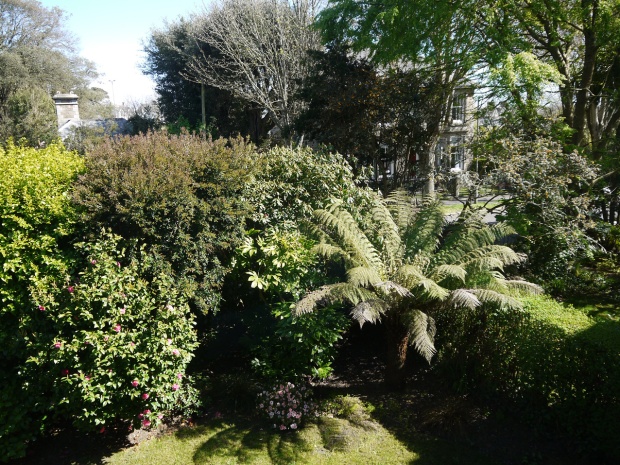 Lush garden at Venton Vean